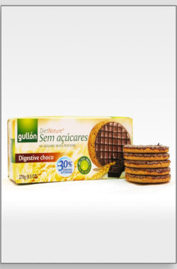 GULLON Digestive Choco keks 270g