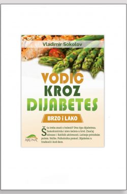 Vodič kroz djabetes knjiga